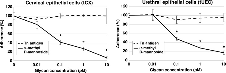 FIG 3