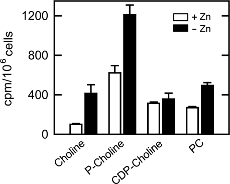 FIGURE 10.