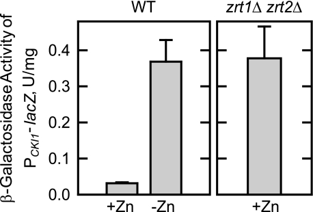 FIGURE 4.