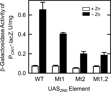 FIGURE 7.