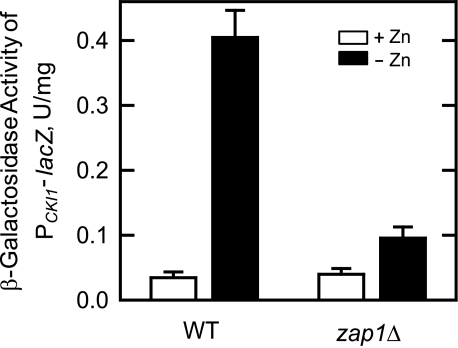 FIGURE 5.