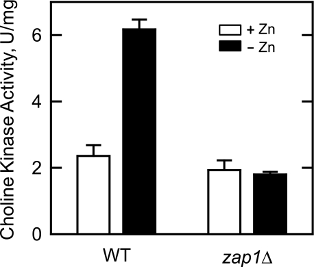 FIGURE 9.