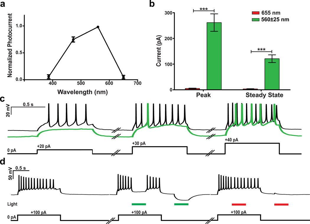 Figure 4