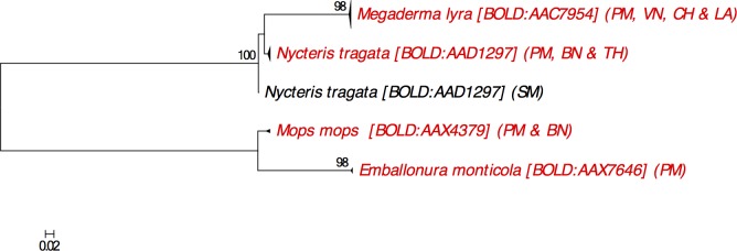 Fig 3