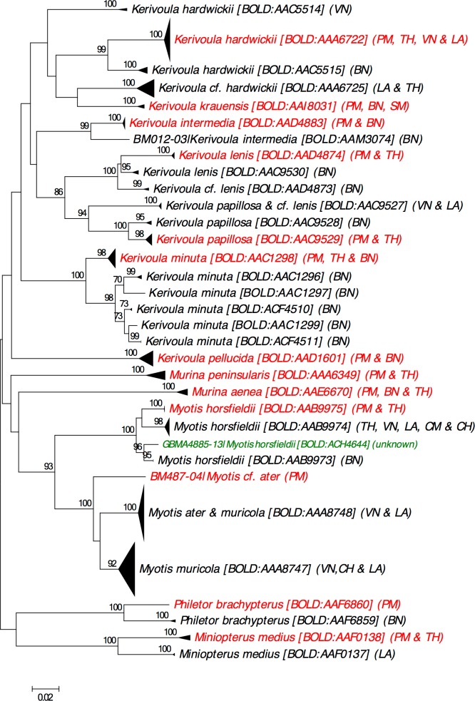 Fig 6