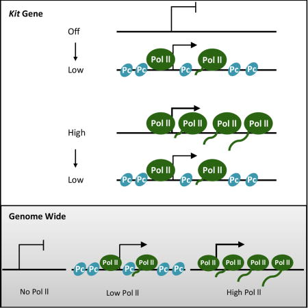 graphic file with name nihms894516u1.jpg