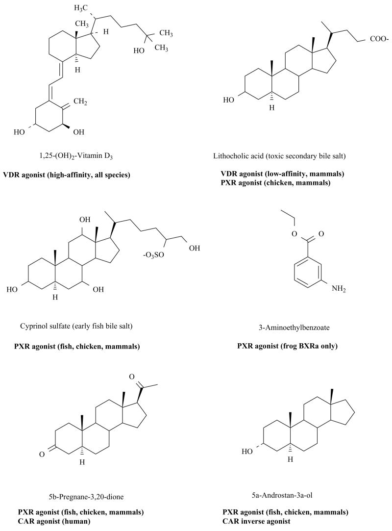 Fig. (1)