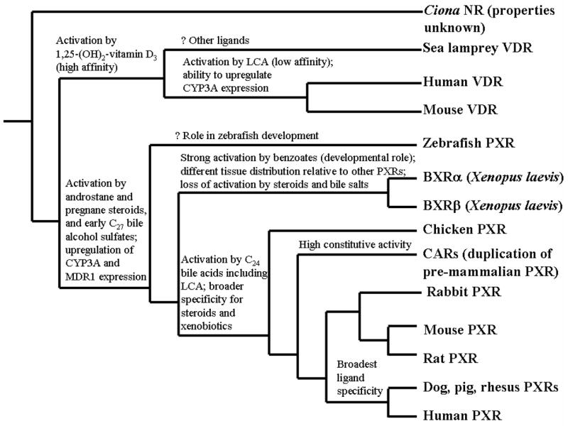 Fig. (4)