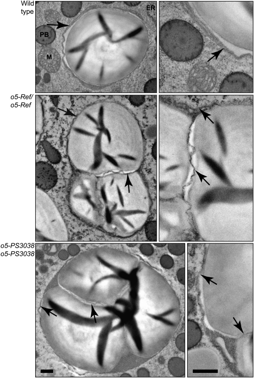 Figure 6.