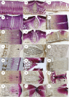 Fig. 7.