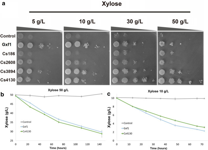 Fig. 4