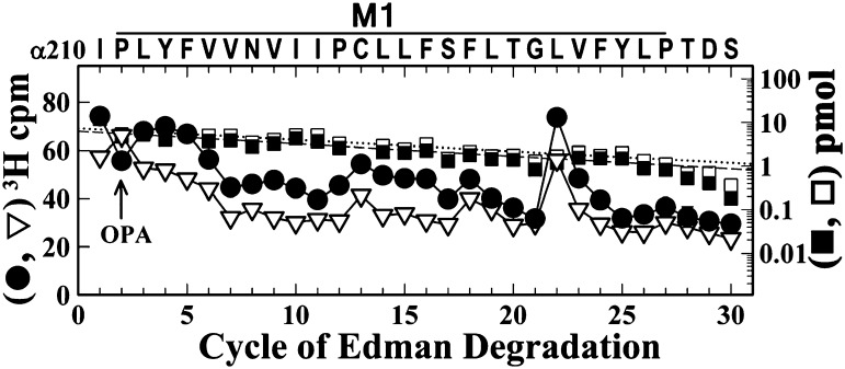 Fig. 9.