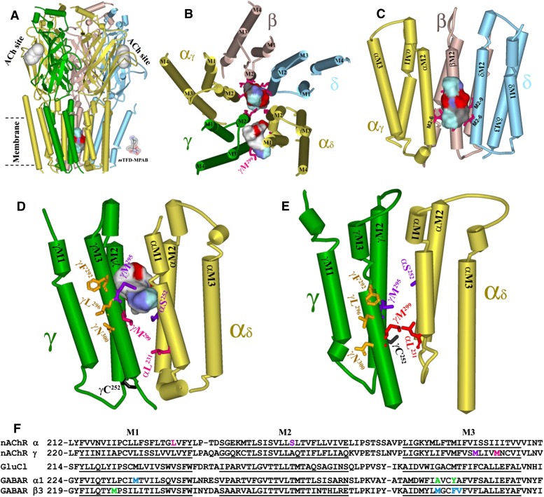 Fig. 10.