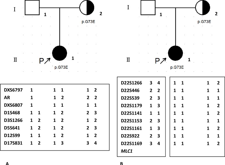 Fig 5