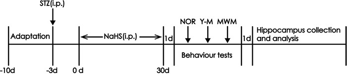 Figure 10