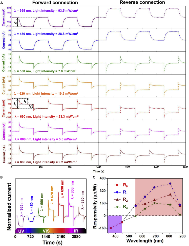 Figure 2