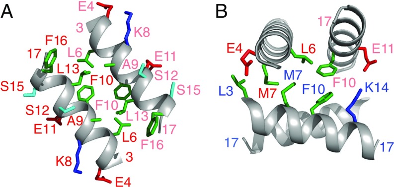 Fig. 9.