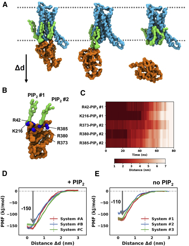 Figure 7