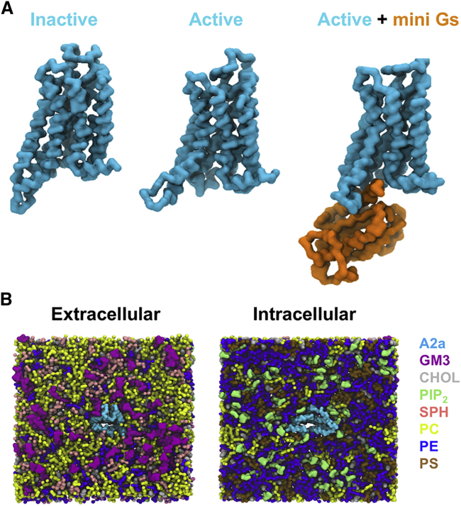 Figure 1