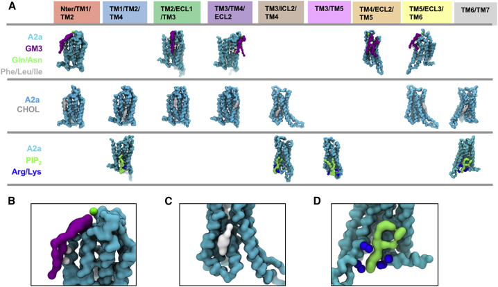 Figure 4