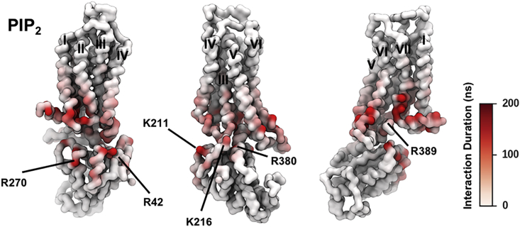 Figure 6