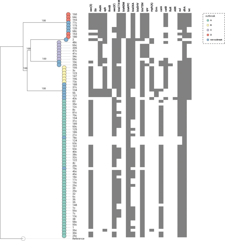 FIGURE 3