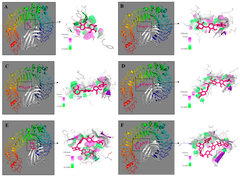 Figure 6