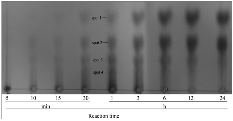 Figure 5