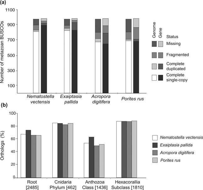 Figure 3: