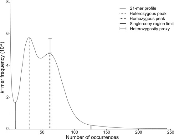 Figure 2: