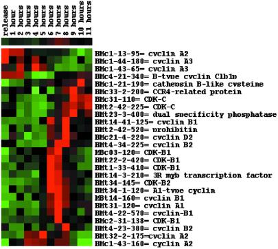 Fig 3.