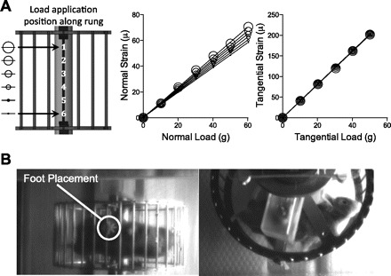 Fig. 2.