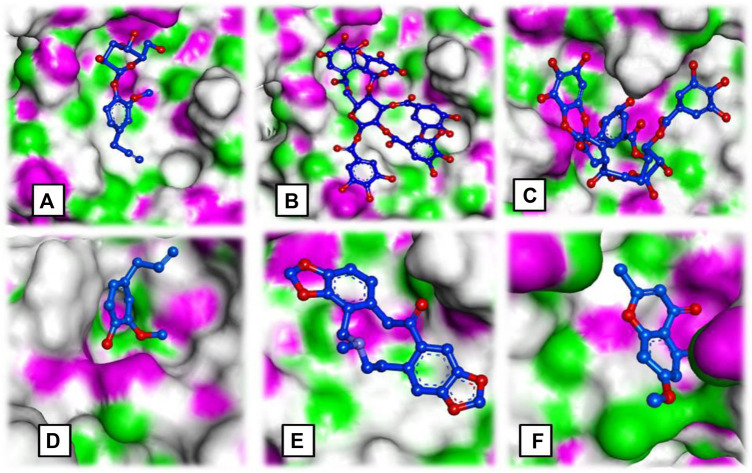 FIGURE 3