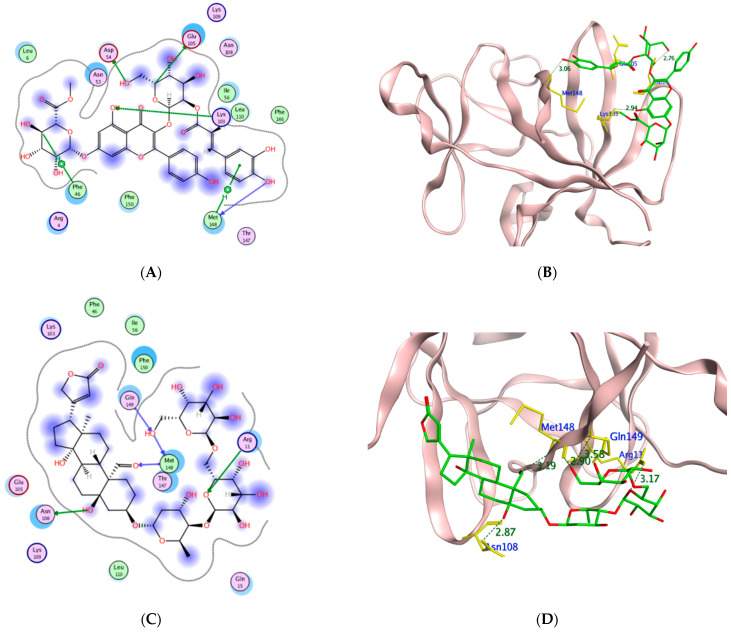 Figure 13