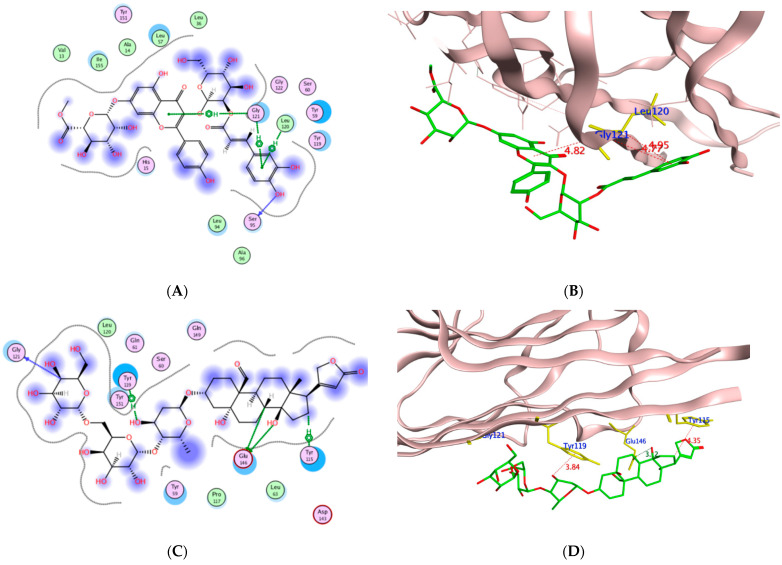 Figure 12