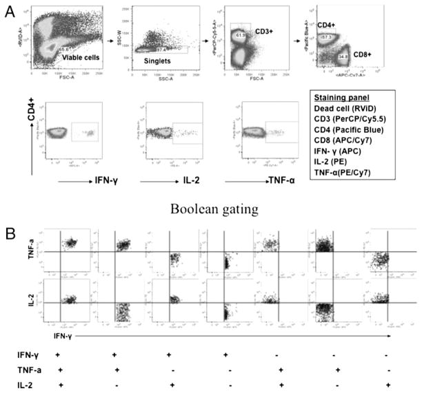 FIGURE 2