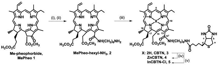 Scheme 1