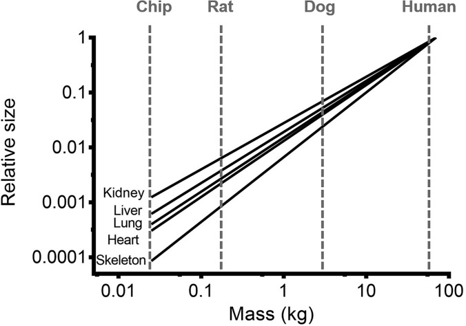 FIG. 2.