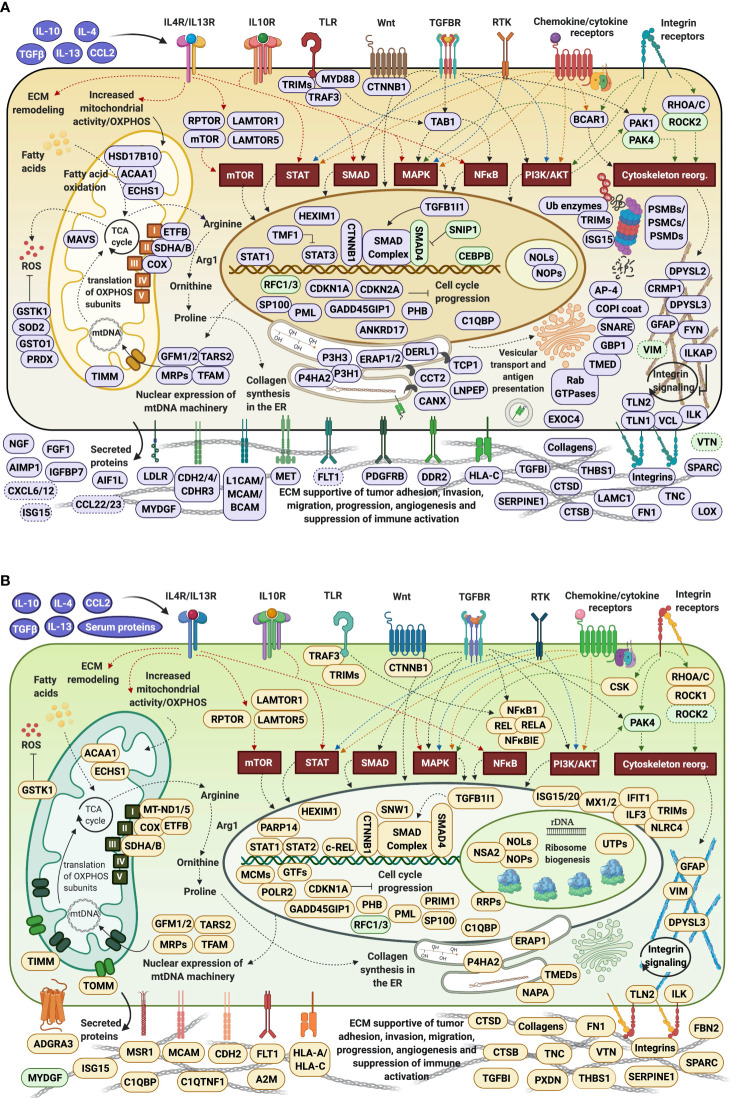 Figure 11