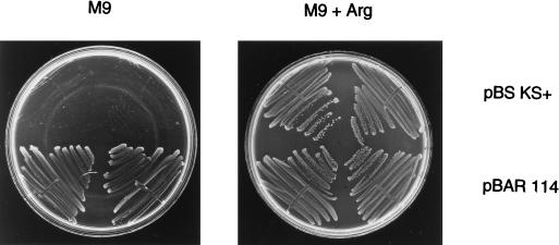 FIG. 3