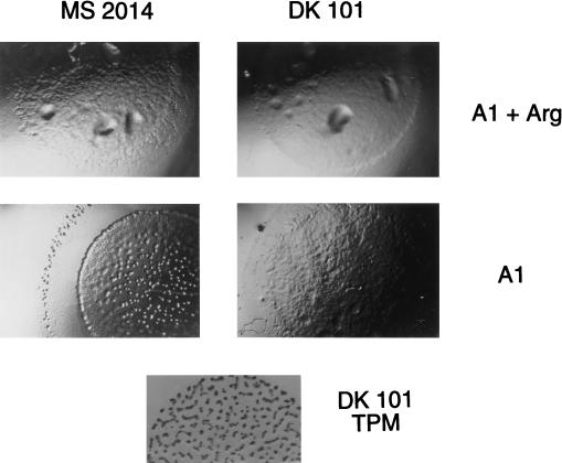 FIG. 4