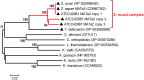 Fig 3