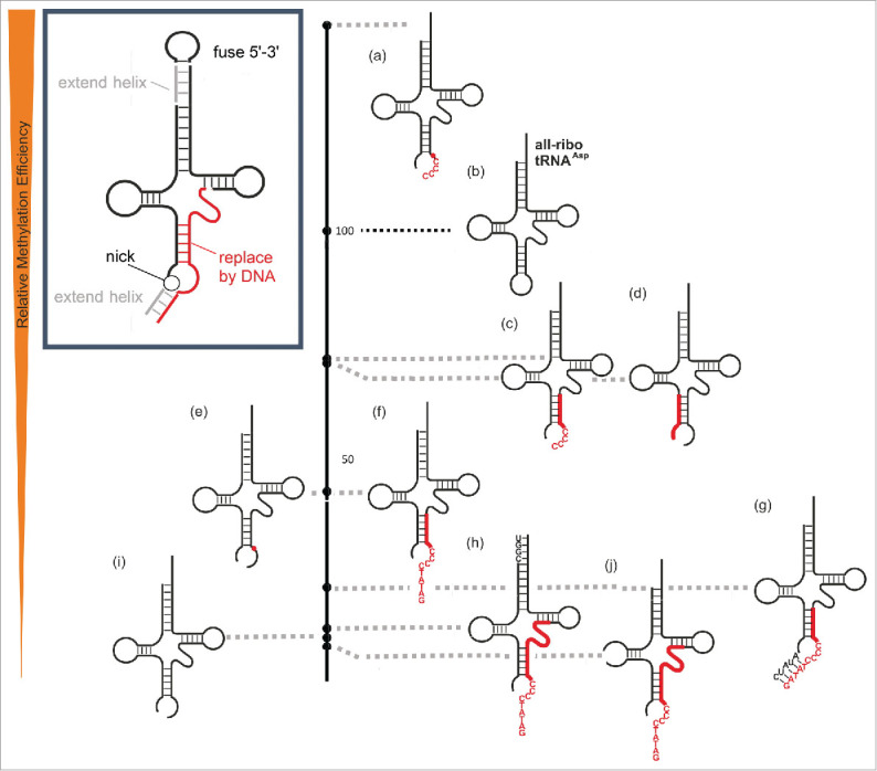 Figure 5.