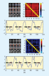 FIG7
