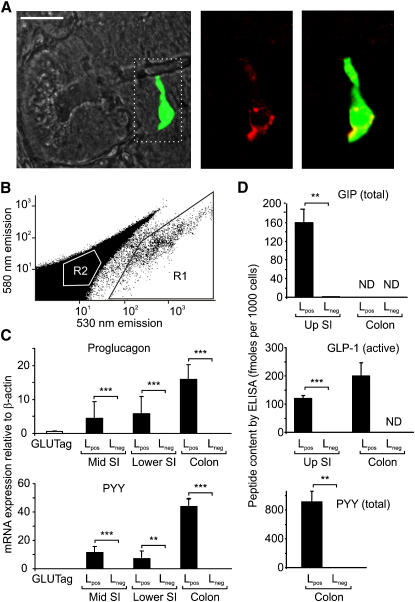 Figure 1