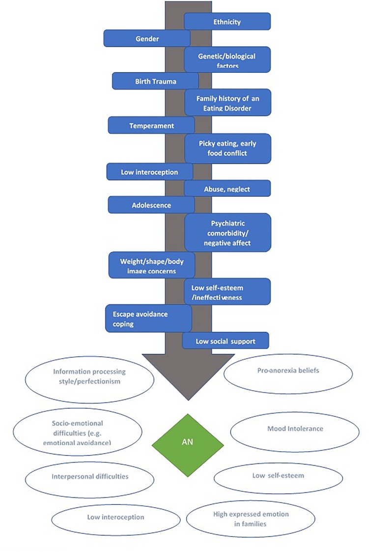 FIGURE 1