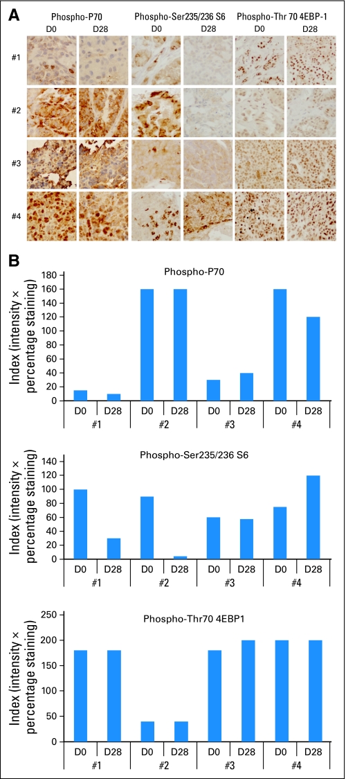 Fig 3.