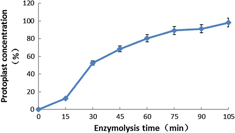 Fig. 3