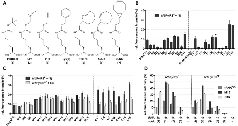 Figure 2.