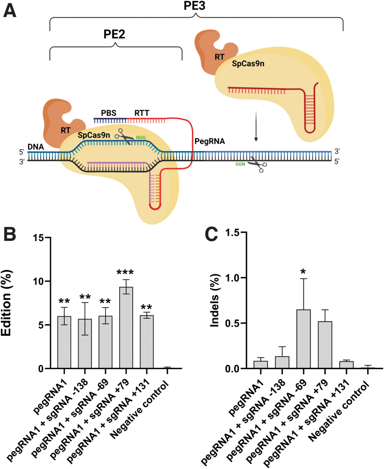 FIG. 2.